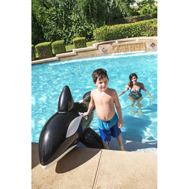 Jumbo Whale Ride On
