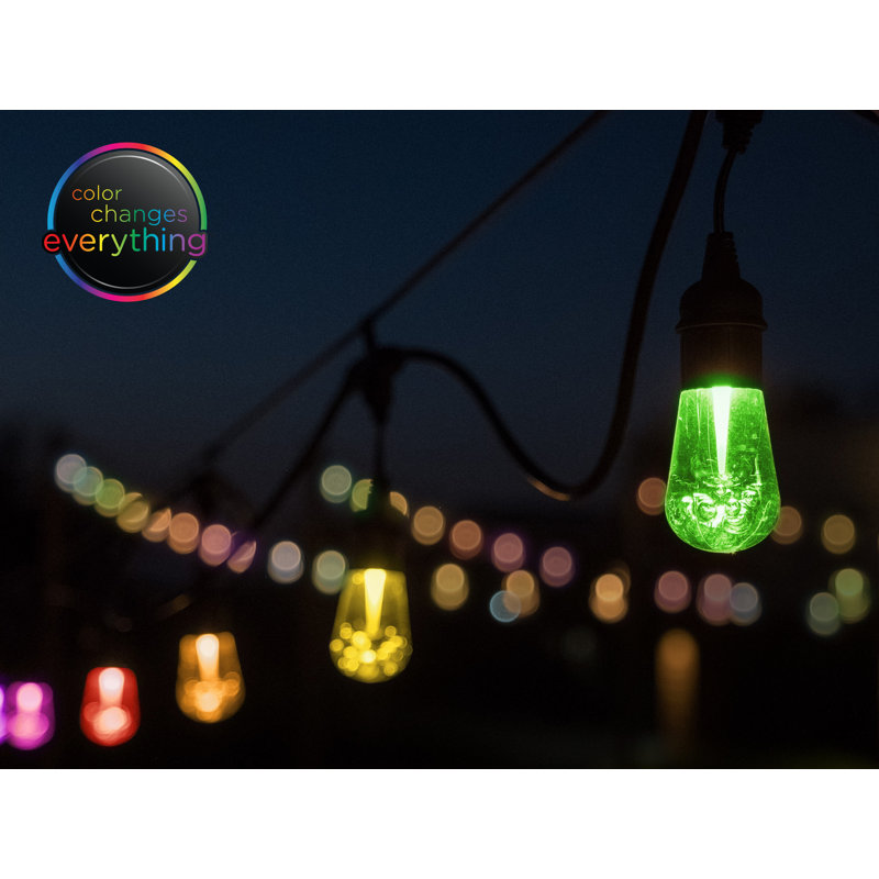 Lumières de café d'extérieur à changement de couleur 48 pi Enbrighten Seasons