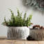 Ensemble de pots à fleurs en fer 3 pièces Asmar
