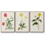 " Flowers Of The Seasons X " 3 - Pieces-91891117-91891119