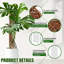 4 mâts de mousse de plastique de 24 pouces pour Monstera, plantes grimpantes d'intérieur, support de plantes empilables, grandes mâts en forme de D pour plantes grimpantes fonctionnant avec de la mousse de sphaigne