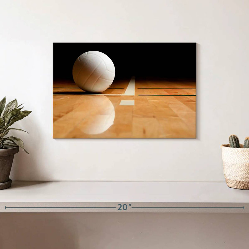 Sireci White Volleyball Reflection, 8" H x 12" W
