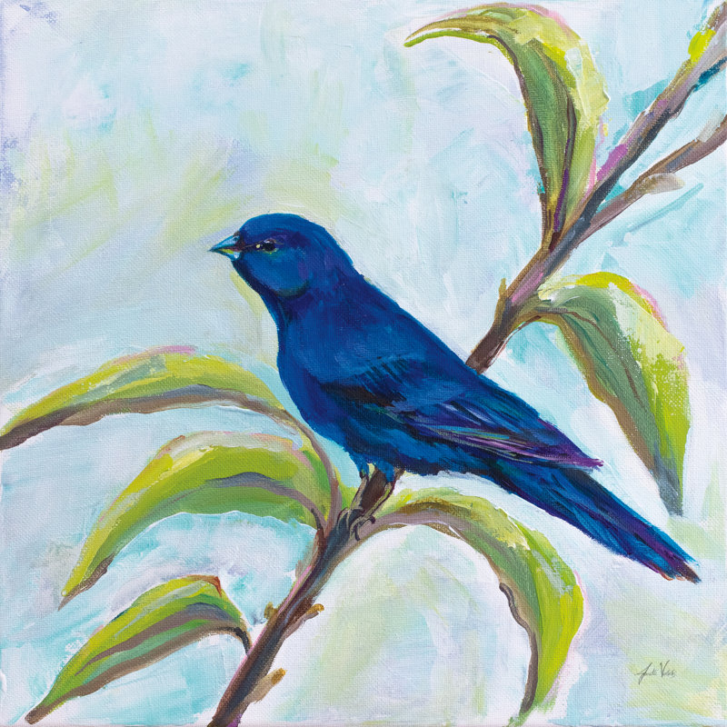 «Indigo Bunting» par Jeanette Vertentes, reproduction d'art sur toile tendue, H 36 po x l 36 po