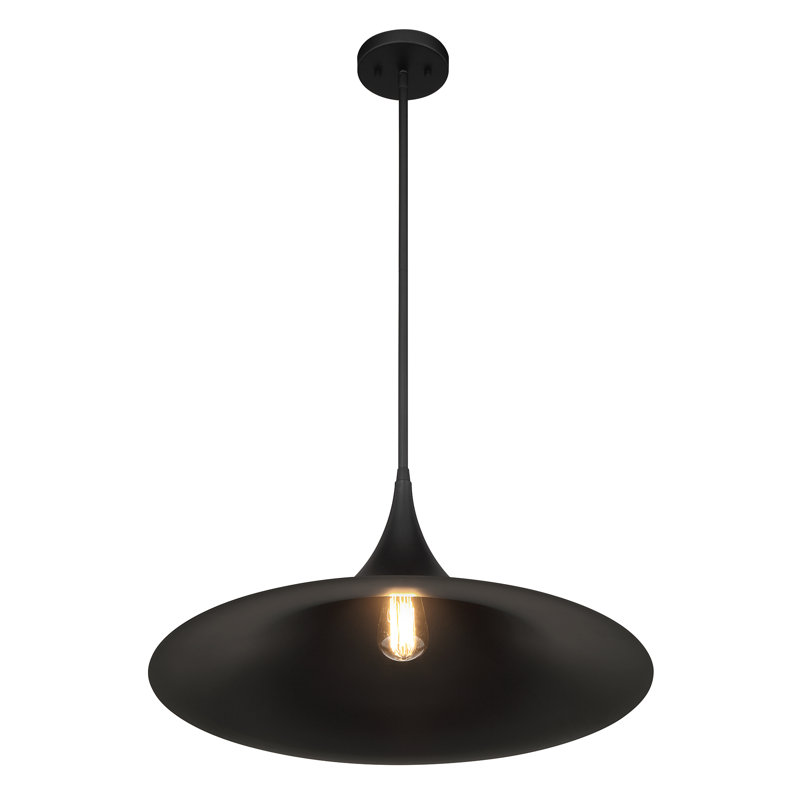 Luminaire suspendu 1 lumière Savdin House Bowdin en noir mat, Noir mat