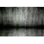 «Wispy Trees Reflect» par Parvez Taj - reproduction de photo sur métal-1785788522