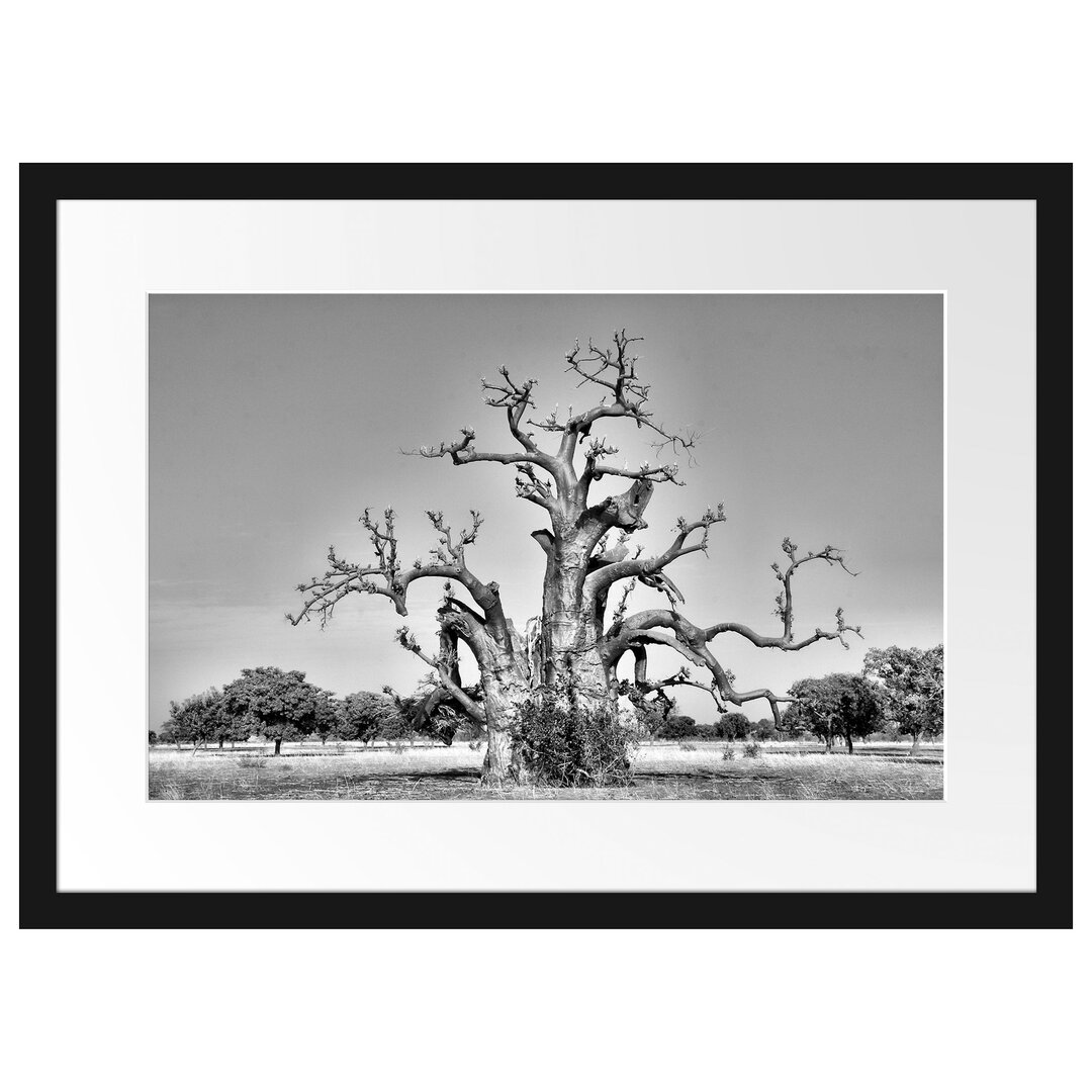 Gerahmtes Poster Vertrockneter Baum in der Savanne