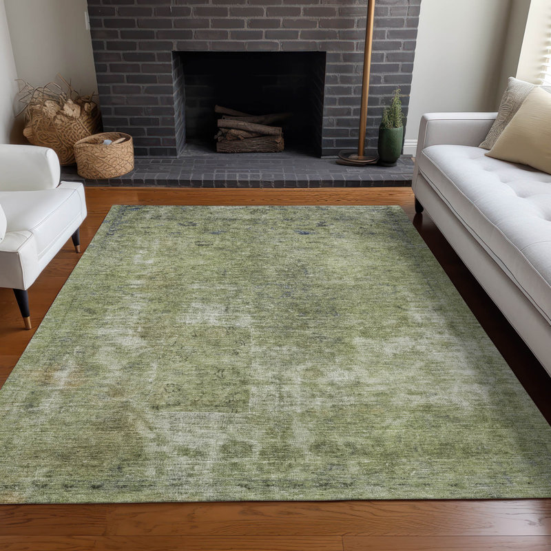 Machine Washable Indoor/Outdoor Claudian ACN1629 Aloe Rug, Rectangle 8' x 10'