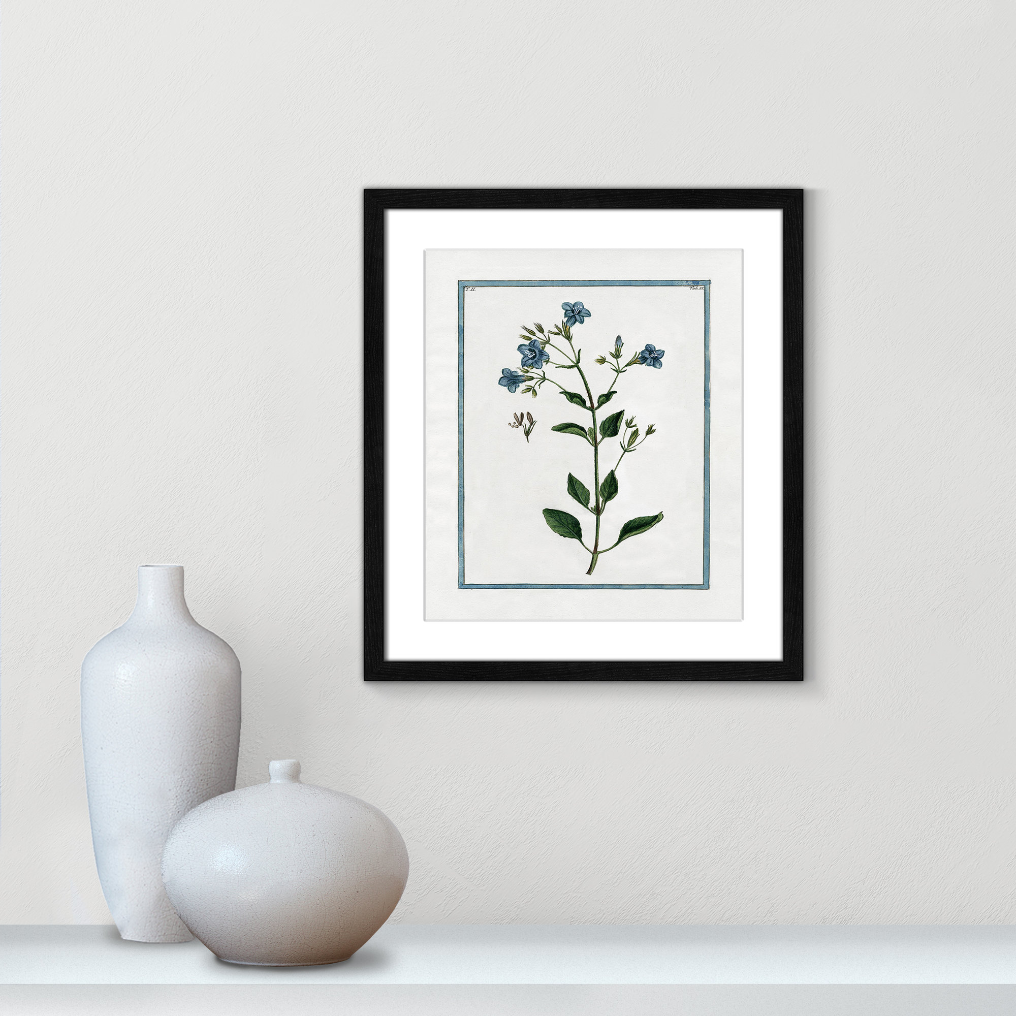Shabby Elegance Botanical II - Framed Art, Black Framed, 13" W x 15" H