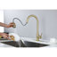 Robinet de cuisine avec douchette extractible