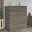 Garden Storage Cabinet 105X55x113 Cm Poly Rattan-2120231536