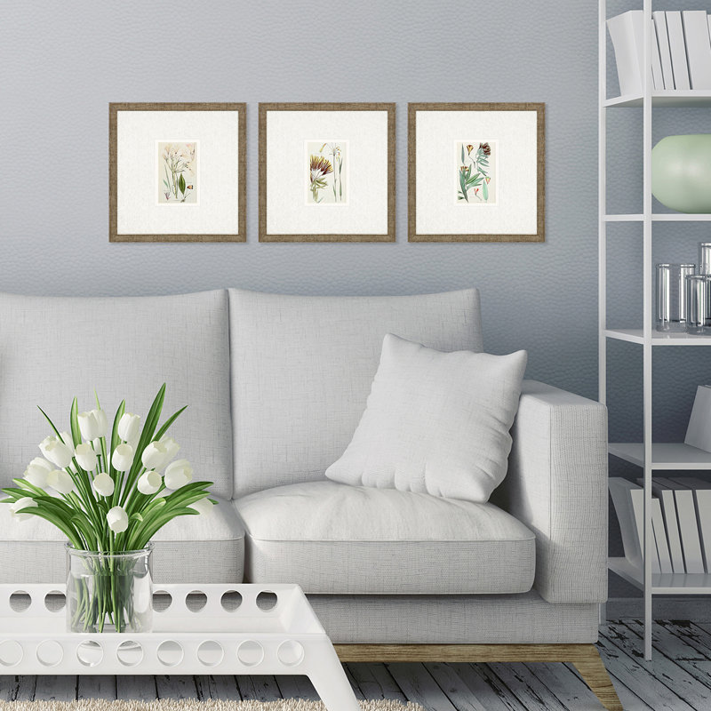 " Antique Botanical I S/3 " by Vision Studio 3 - Pieces Painting Print