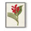 «Flora of the Tropics IV», reproduction encadrée - bois massif-420048415-420048418