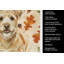 Serviette de cuisine tricolore Sheltie-2083472871