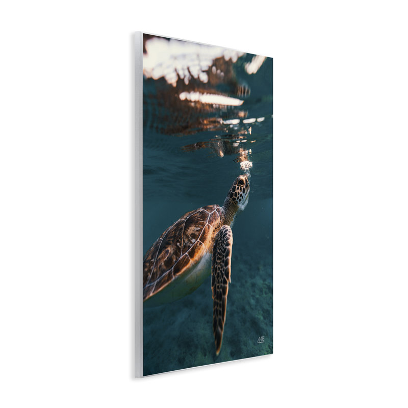 «Blowing Bubbles Turtle» par Max Blakesberg Studios, H 19 po x l 13 po