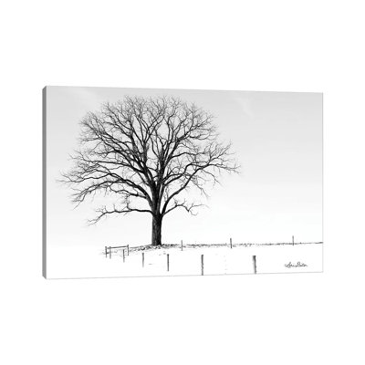 Bare by Lori Deiter - Wrapped Canvas Print