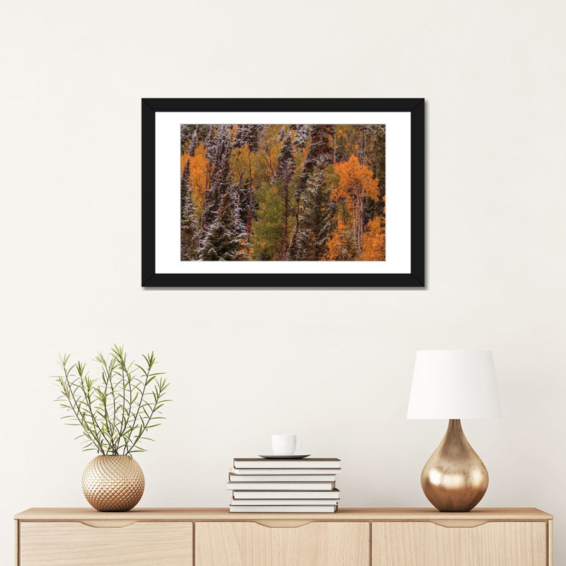 « contrasts » par bill sherrell, reproduction d’impression sur toile tendue, H 16 po x l 24 po x P 1 po, Black Framed Paper
