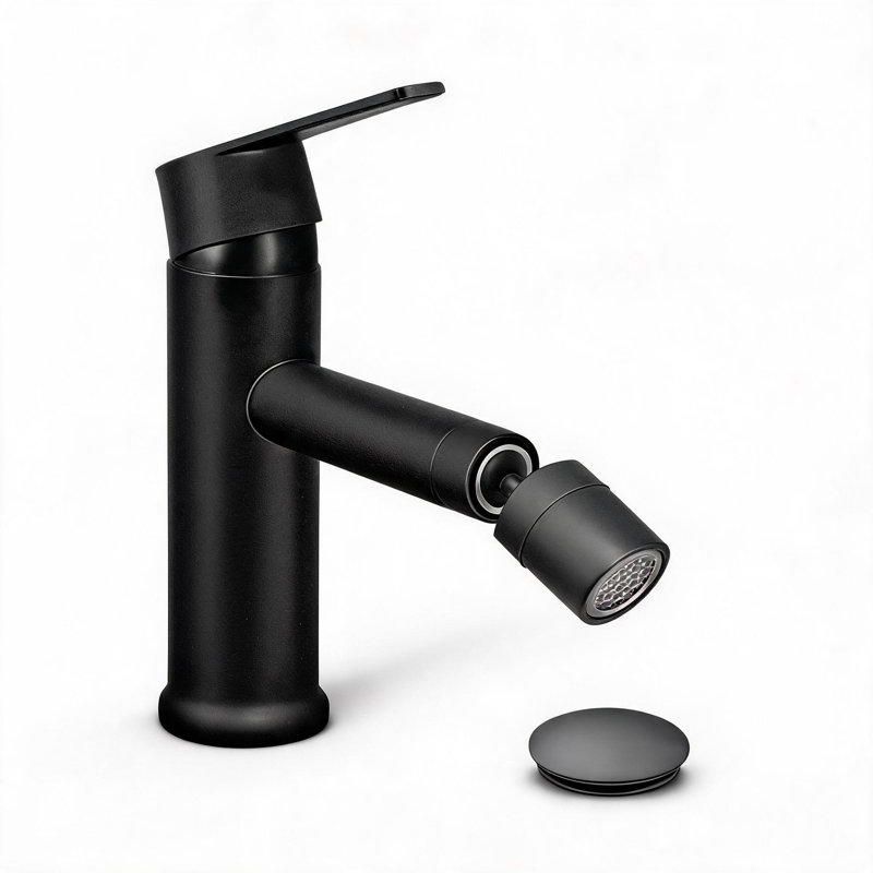 Robinet de lavabo pour salle de bain à poignée simple en acier inoxydable noir mat avec bonde escamotable et aérateur rotatif à 360 degrés