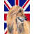 Afghan Hound