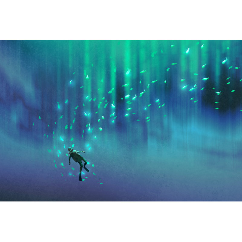 Diver And Glowing Fish - Wrapped Canvas Painting, 30cm H x 46cm W x 3.8cm D
