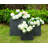 Jakelyn Pot Planter-700347674
