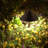LED Pathway Landscape Light Hardwired 3000K Warm White-109011715