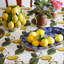 Schumacher x Johnson Hartig Le Citron Fabric-78878736