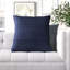 Griffin Throw Pillow-175426488-175426489