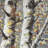 Budding White Birches 1 Beige Landscape Canvas | Home Decor-119863951