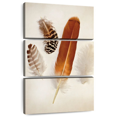 Kerner Feather Group I
