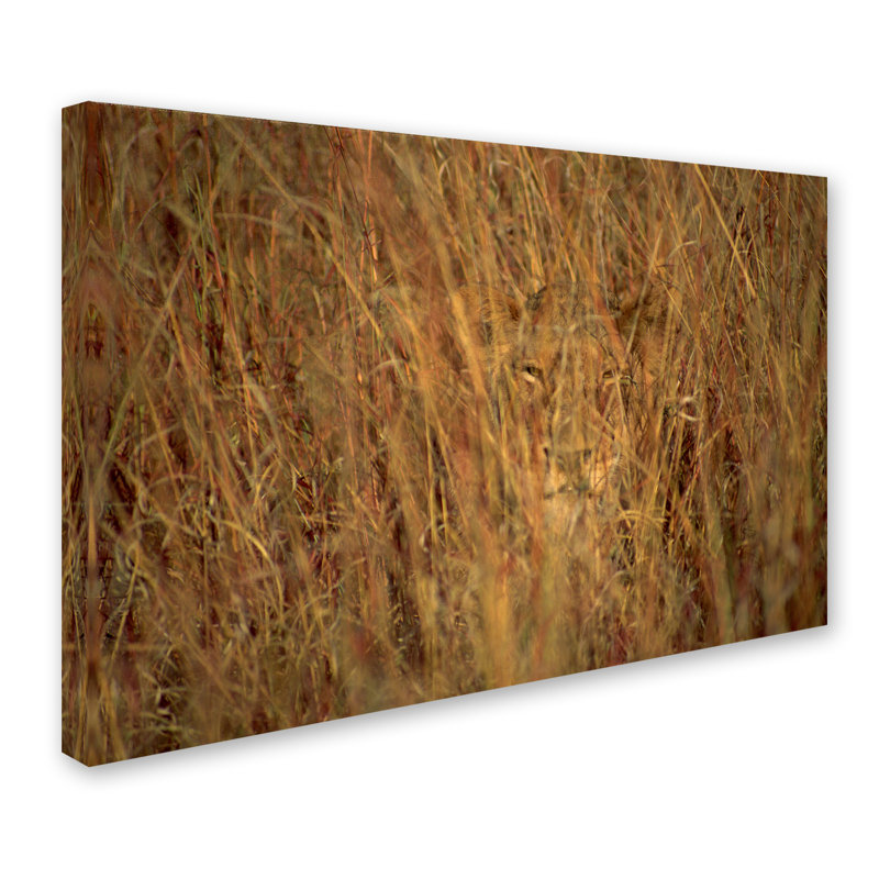 Ann «Lions», reproduction d'impression sur toile tendue, H 12 po x l 19 po