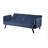 Koga 72'' Velvet Convertible Sofa-1600297004