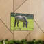 No Frame Print on Canvas