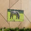 Wall Art on Canvas-1710743100
