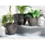 Chesley Pot Planter-41510265
