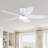 36/42/48" Flush Mount Low Profile Ceiling Fan With Light And Remote/app Control-1758610762-1758610761