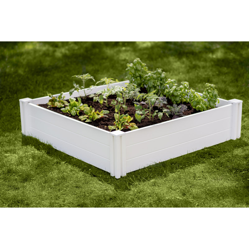 Emme Raised Garden Bed, 11" H x 48" W x 48" D