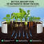 Raised Garden Bed-475688768