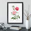 Ever-blowing Pink Roses by Pierre-Joseph Redoute - Picture Frame Painting Print-55535959-55535960
