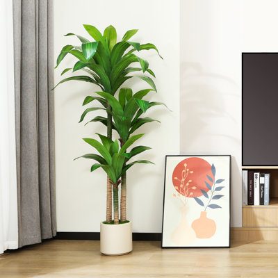 Adcock 59" Artificial Dracaena Tree in White Planter, Lifelike Fake Plant for Indoor and Outdoor Décor