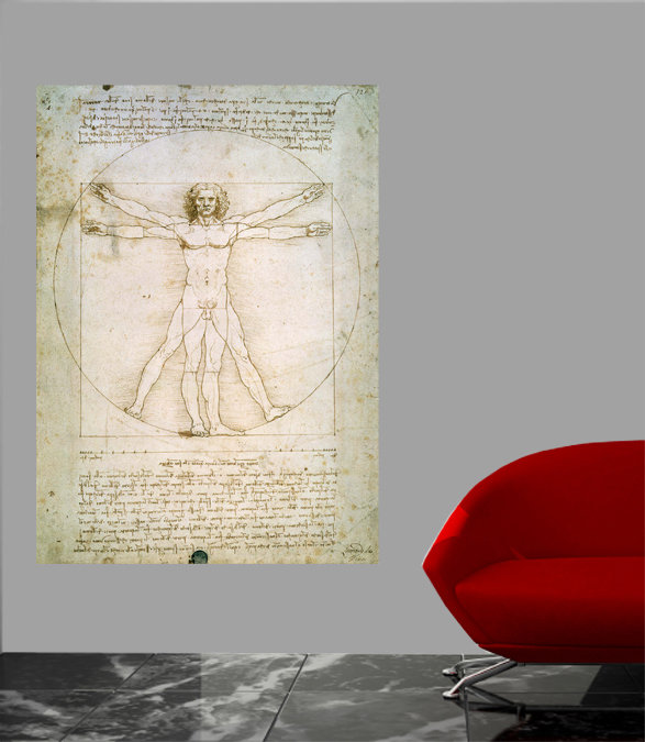 «The Proportions of the Humain» par Da Vinci, affiche brillante, H 24" x l 17"