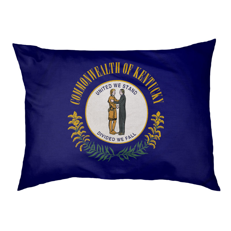 Coussin de concepteur de pavillon kentucky Burien, L 32,5 po x l 42,5 po, Noir