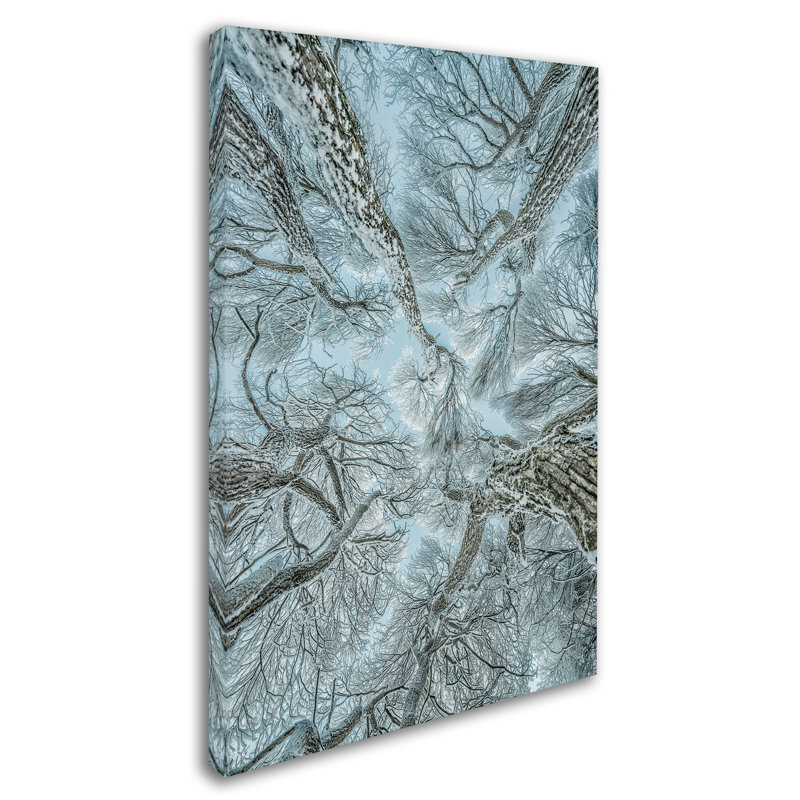 « winter frost », reproduction de photo sur toile tendue, H 32 po x l 22 po