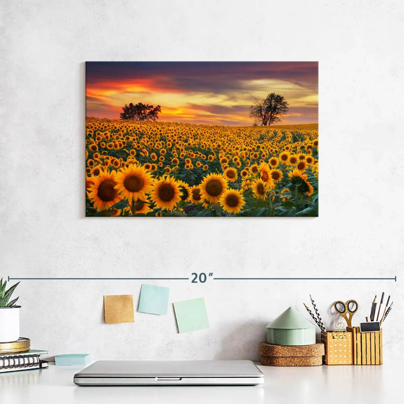Crépuscule champ de tournesol Alvord, H 8 po x l 12 po