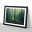 An Enviable Forest - Framed Print-1928165252-1928165275