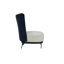 Caskey Velvet Slipper Chair