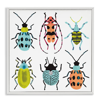 Collection Beetles & Bugs, estampe numérique, design par Metka Hiti