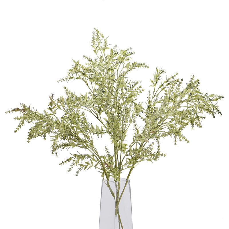 Anastasija Arrangement