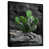Toile avec cadre flottant noir