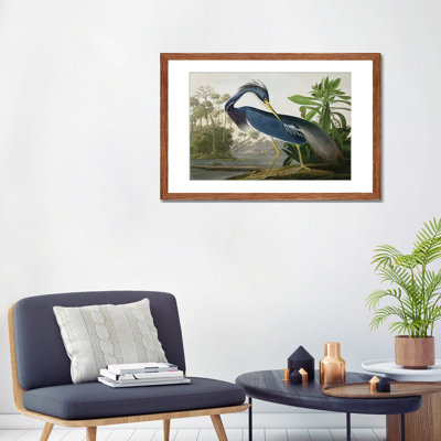 " Louisiana Heron " by John James Audubon
