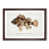Walnut Framed